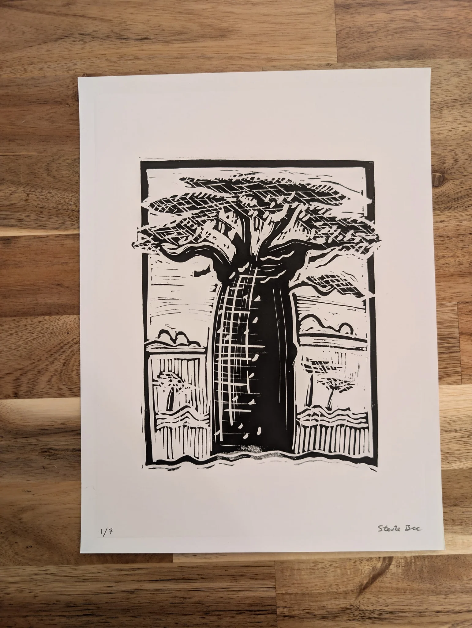Baobab #1