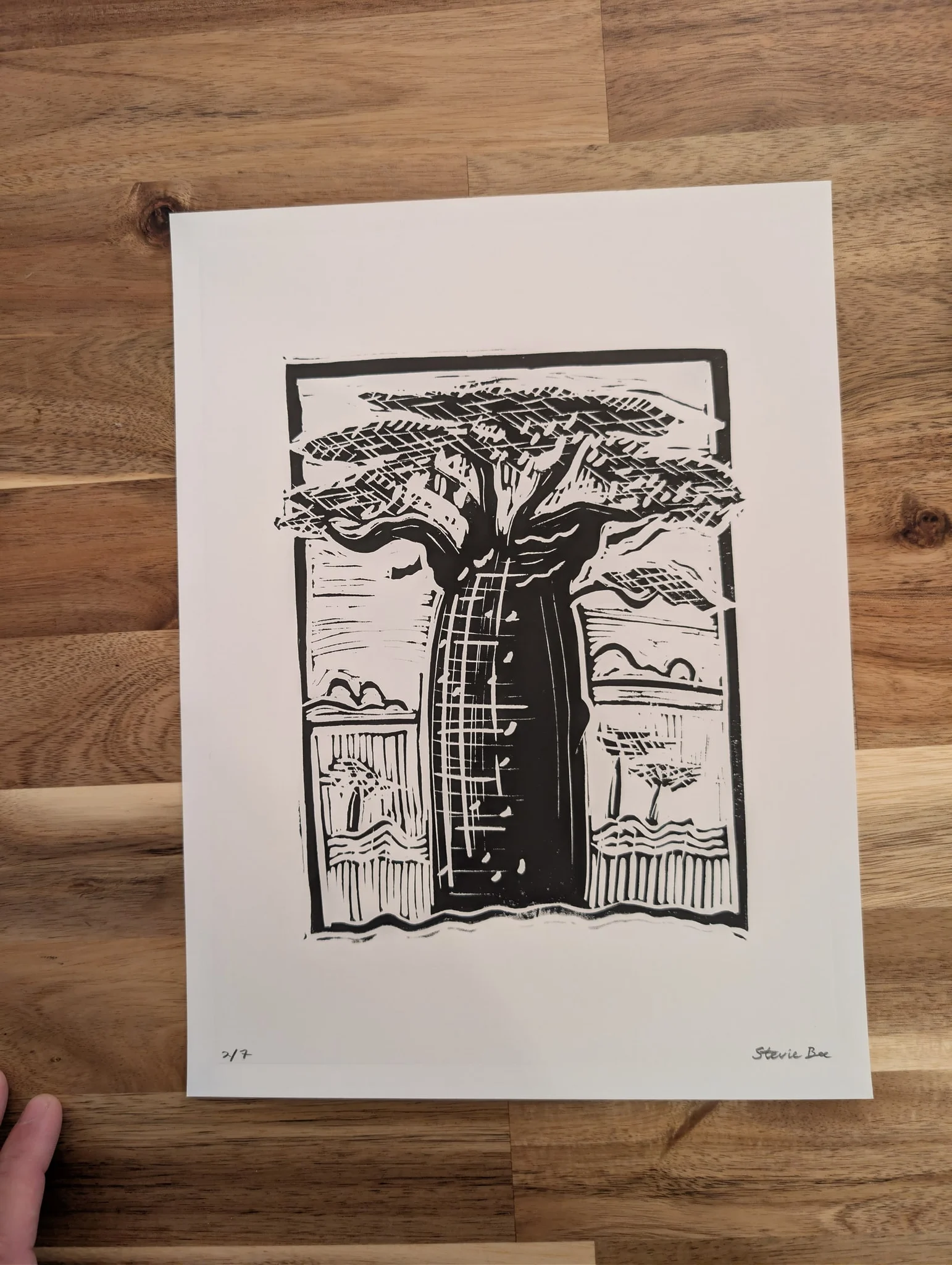 Baobab #2
