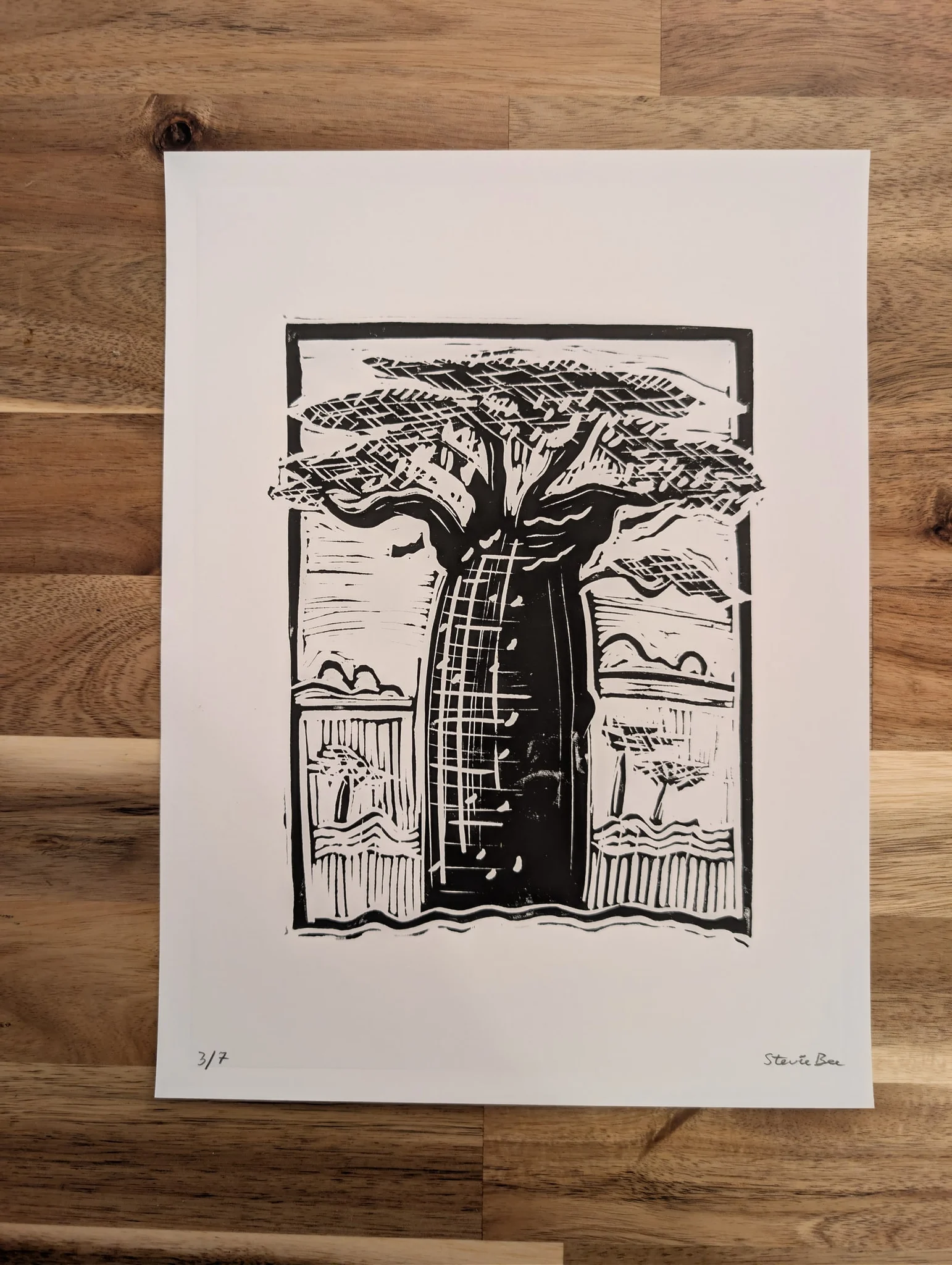 Baobab #3