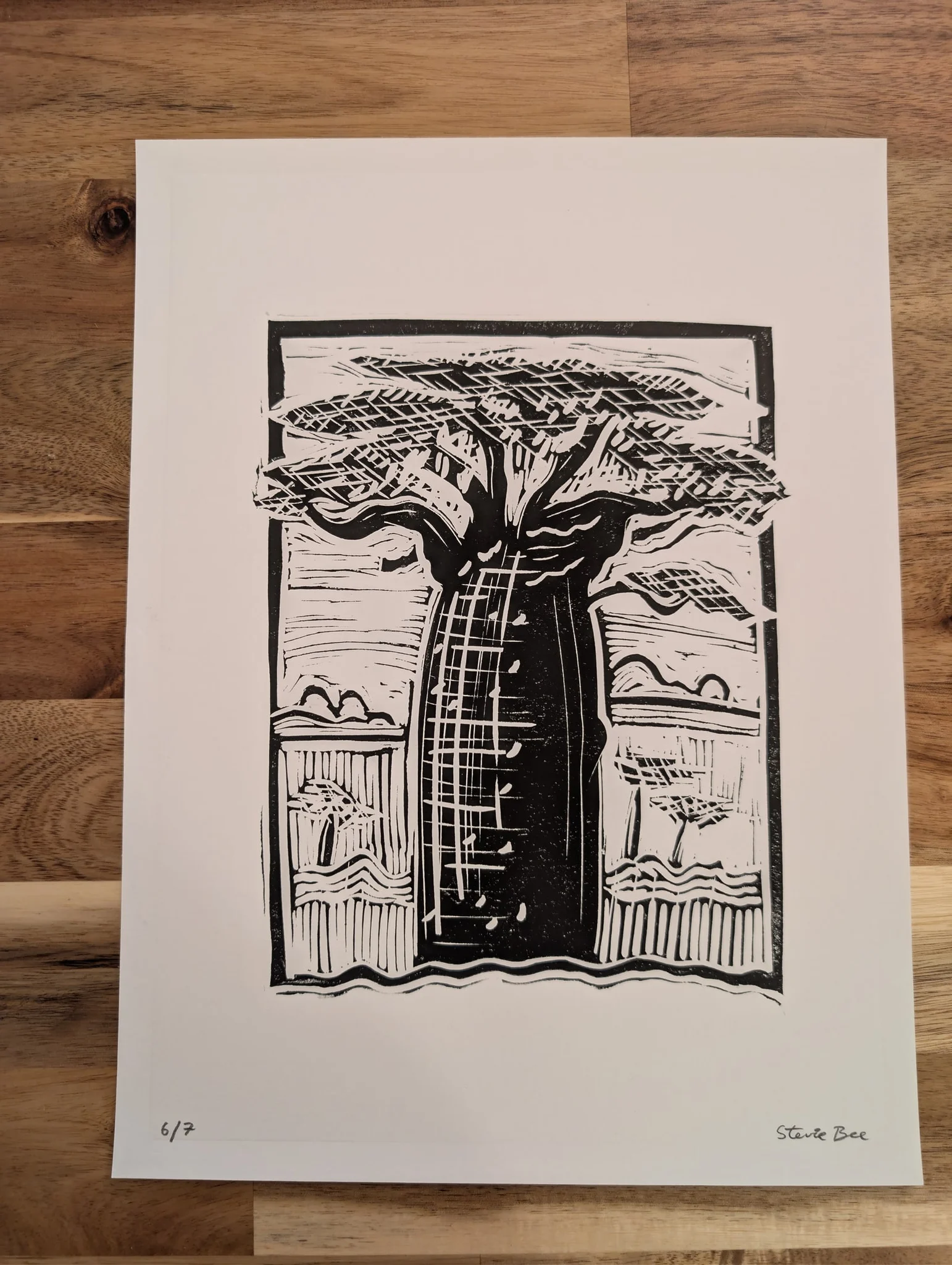 Baobab #6