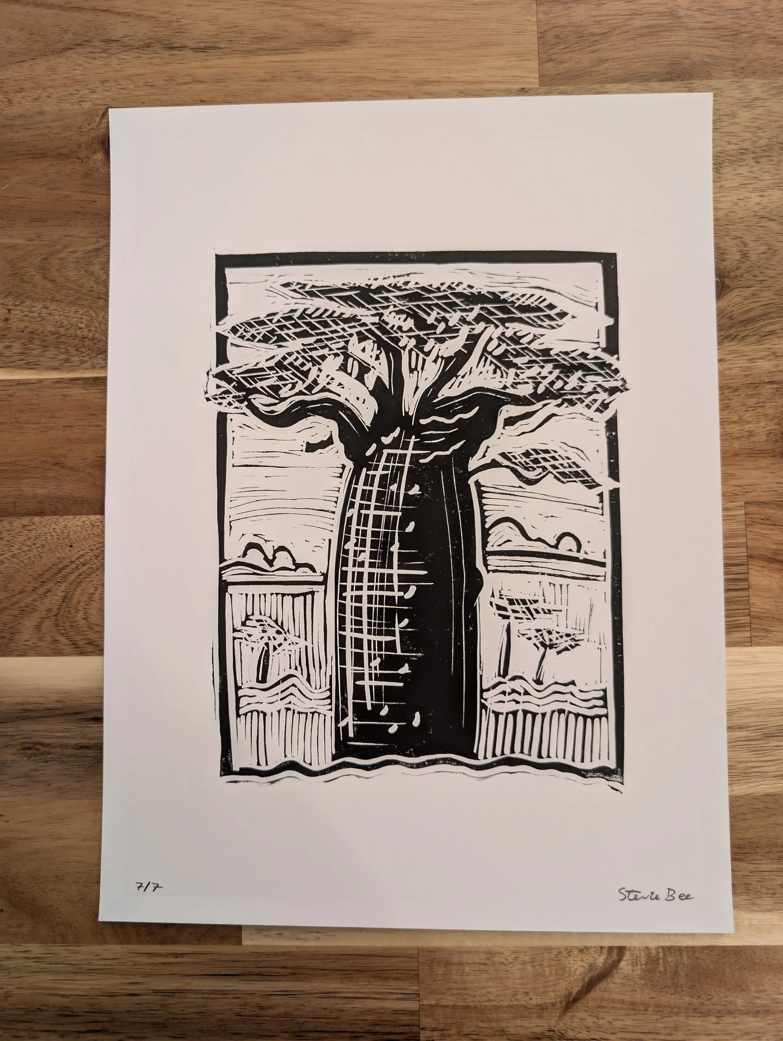 Baobab #7