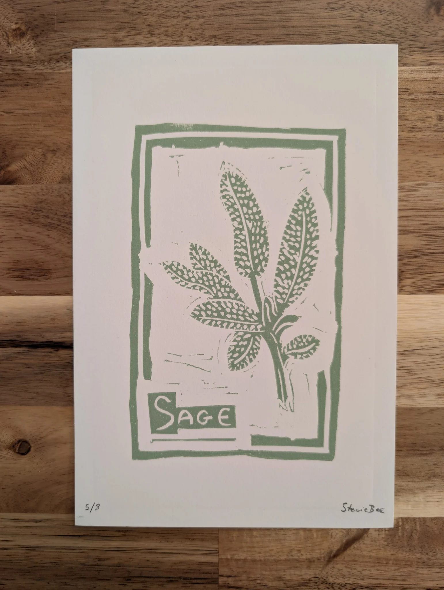 Sage Plant #5