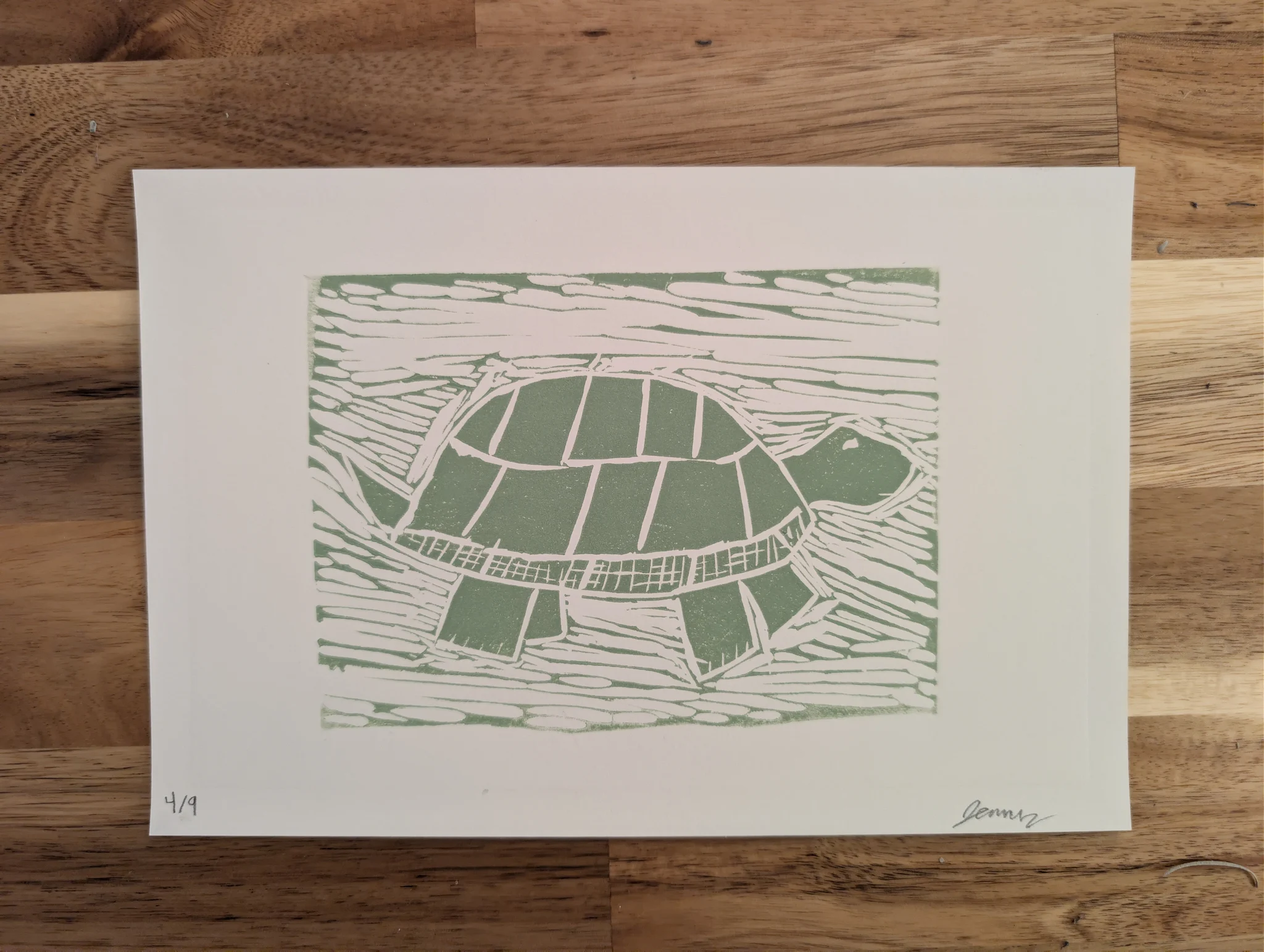 Turtle Main image