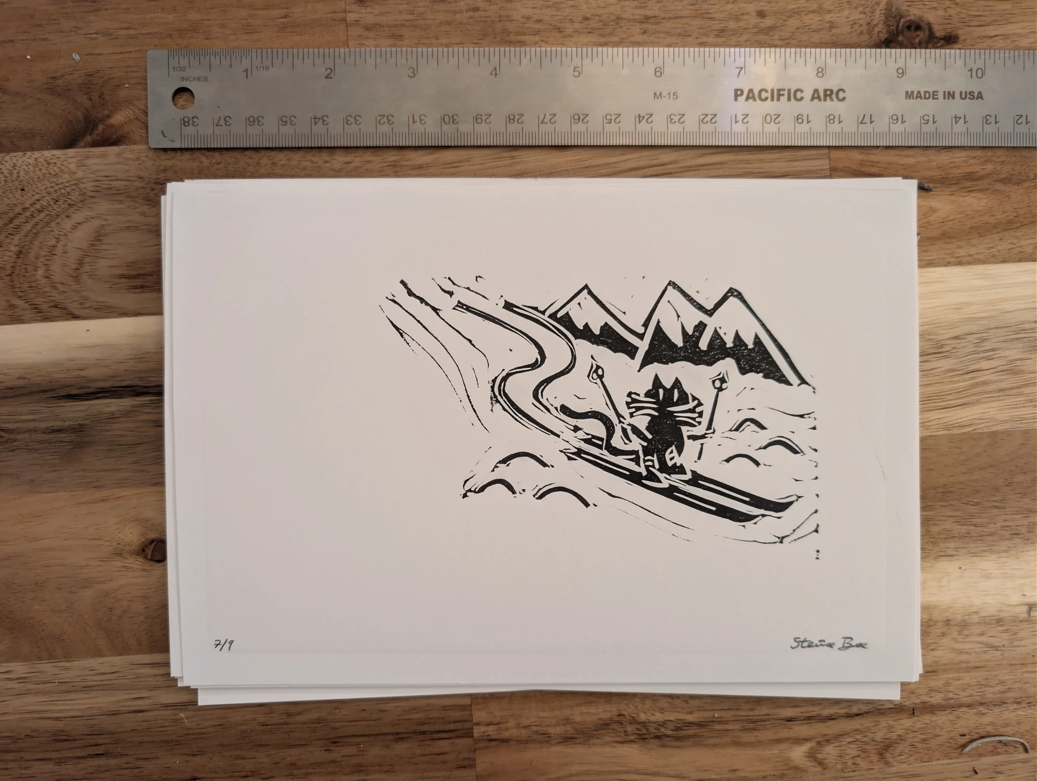Ski Cat #7