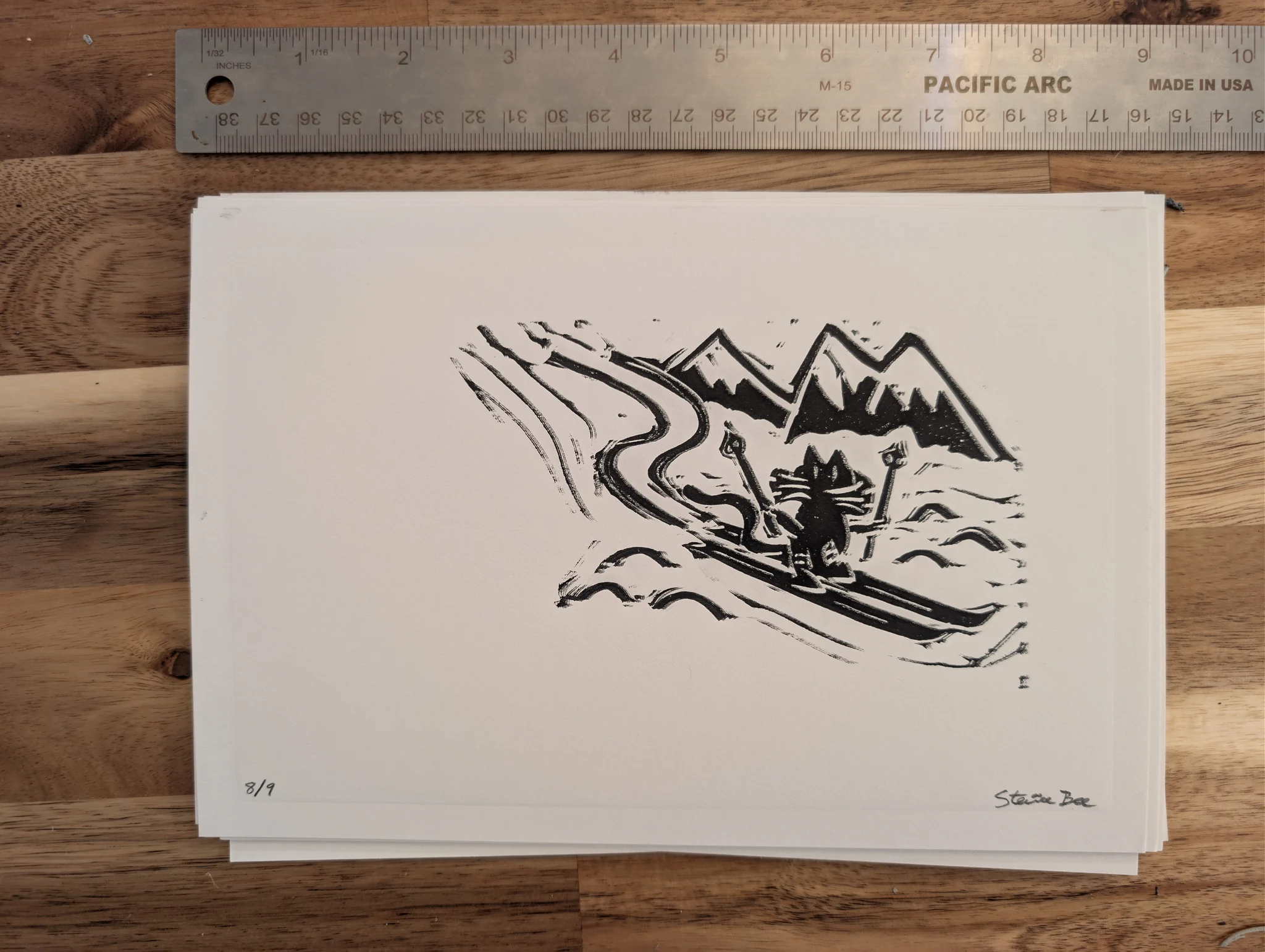 Ski Cat #8