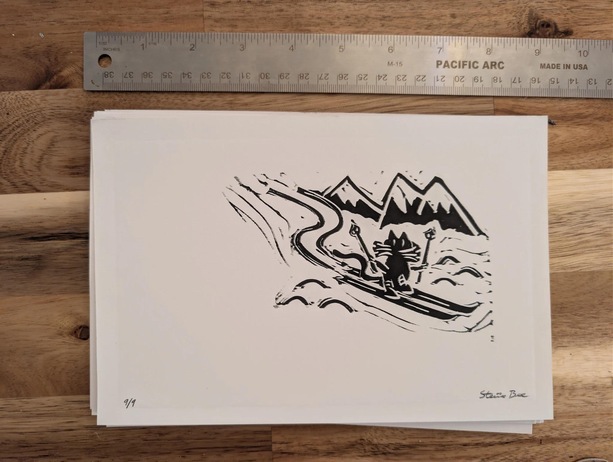 Ski Cat #9